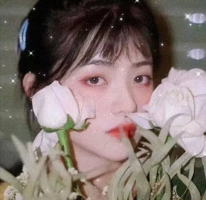 分享